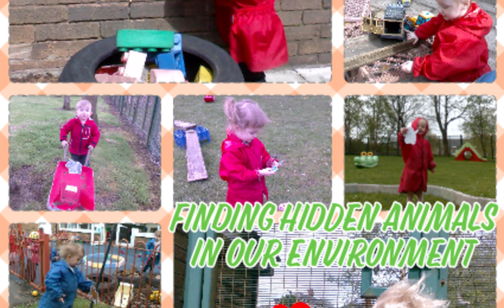 Image of Nursery Class - Understanding the world - Finding Hidden Animals in our Environment.