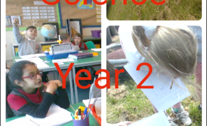 Image of Science Year 2 - Classifying Objects