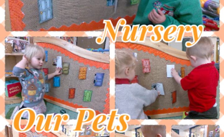 Image of Nursery - PSHE - Our Pets 