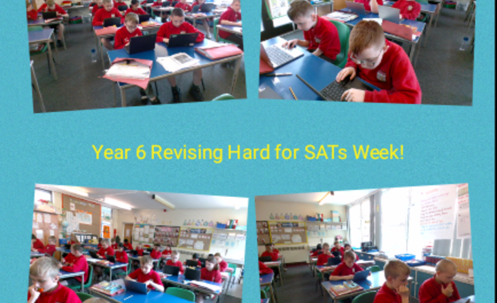 Image of Year 6 Revising for SATs